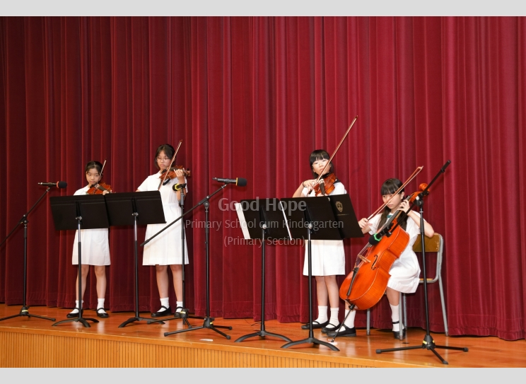 String Quartet_7249