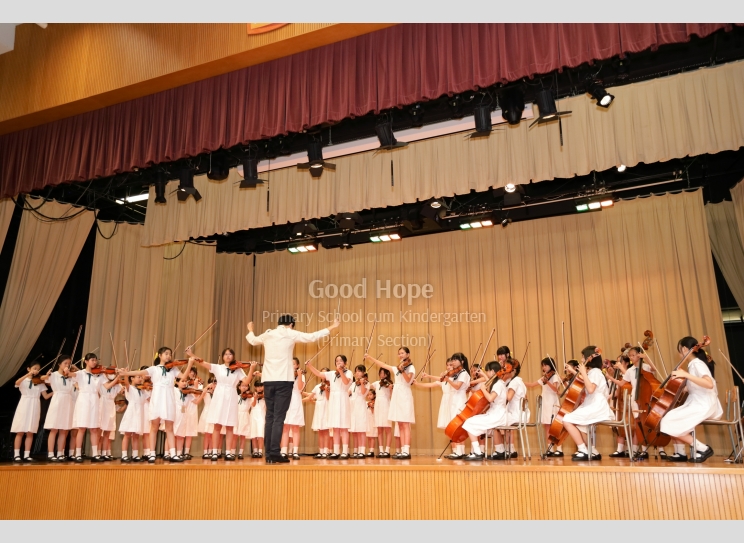 Senioir String Orchestra_7282