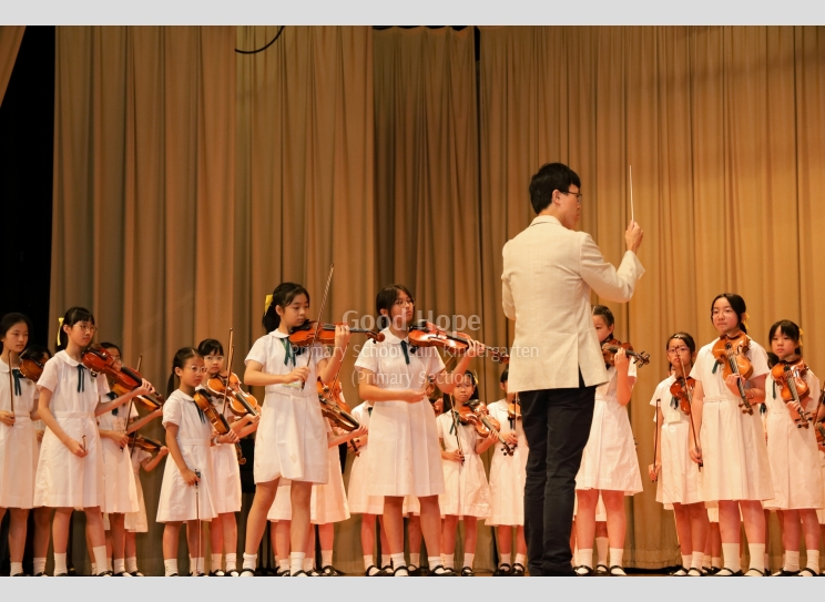 Senioir String Orchestra_7281
