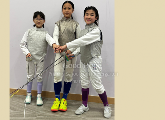fencing