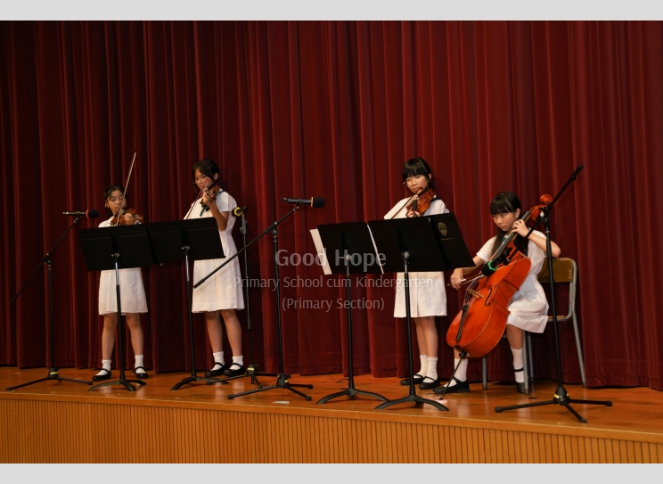 String Quartet_7251
