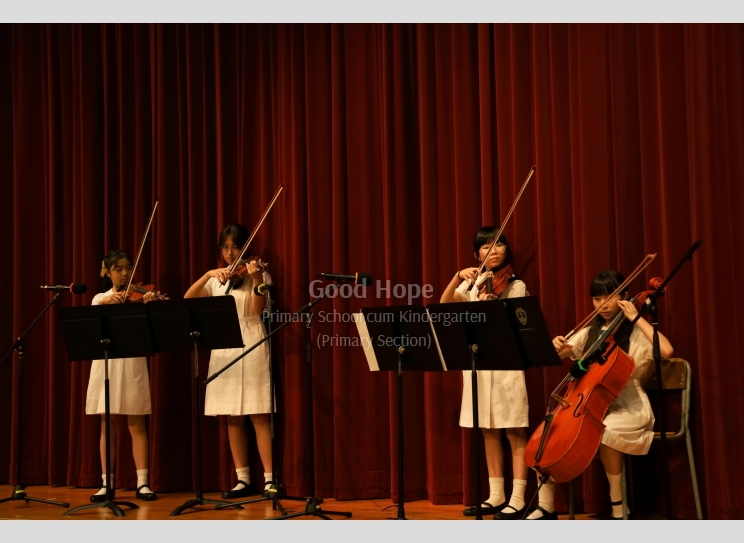 String Quartet_7248