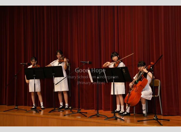 String Quartet_7250