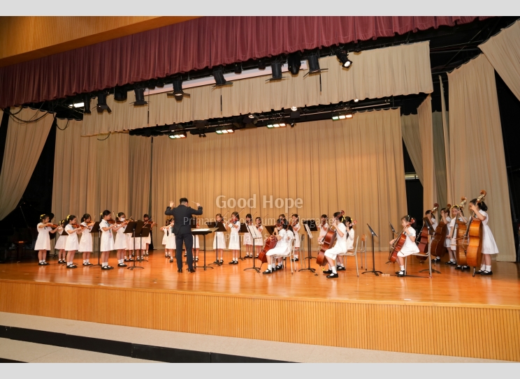 Junior String Orchestra_7254