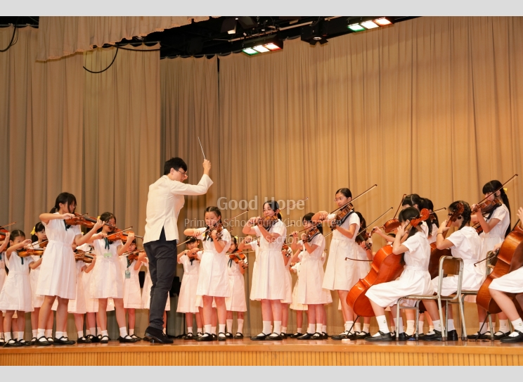 Senioir String Orchestra_7278