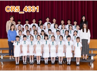 4E_4331