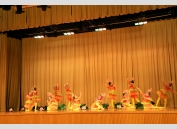 Chinese Dance Junior_7398
