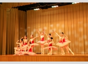 Ballet Grade 1_7430
