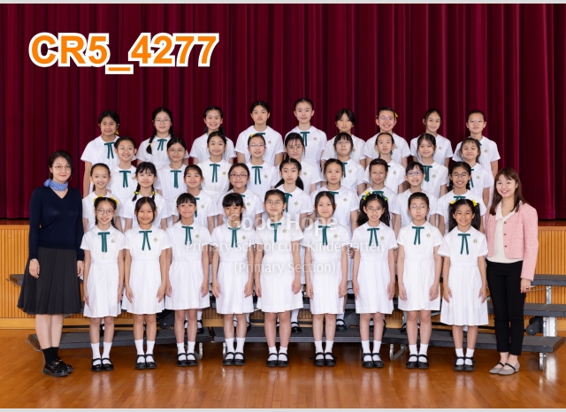 5B_4277