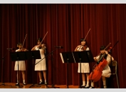 String Quartet_7248