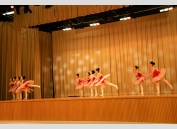 Ballet Grade 1_7424